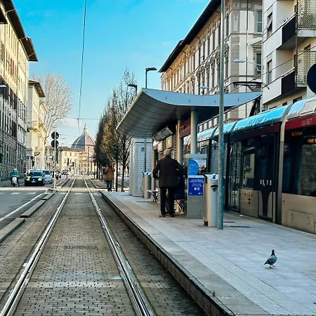 Fancy Statuto Easy *