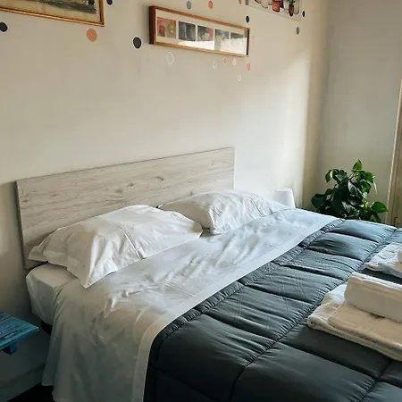 Fancy Statuto Easy *